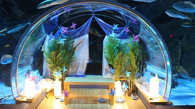 フォトブース夏 フォトブース夏