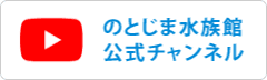 のとじま水族館公式チャンネル