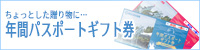 年間パスポートギフト券