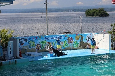 夏休みイベント情報 | のとじま水族館