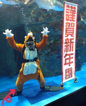 トラダイバー