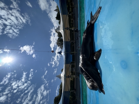 ユウキ
