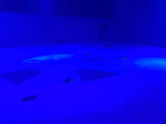 アカエイ
