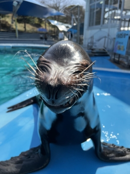 ユウキ1
