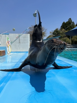 ユウキ2
