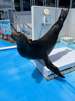 コウスケ2
