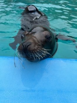 ユウキ3

