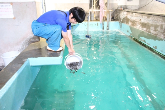 新規個体収容の様子