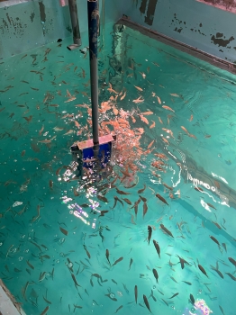 ショー練習の様子