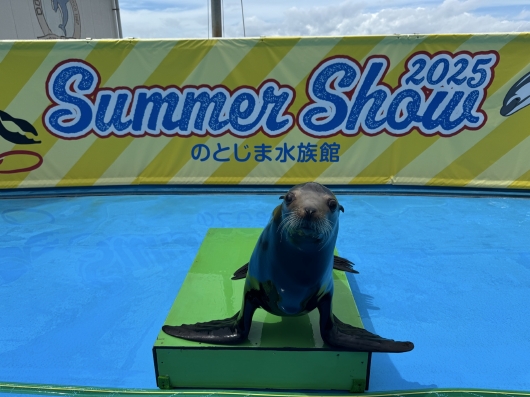 コウスケ1

