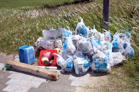 海岸清掃③