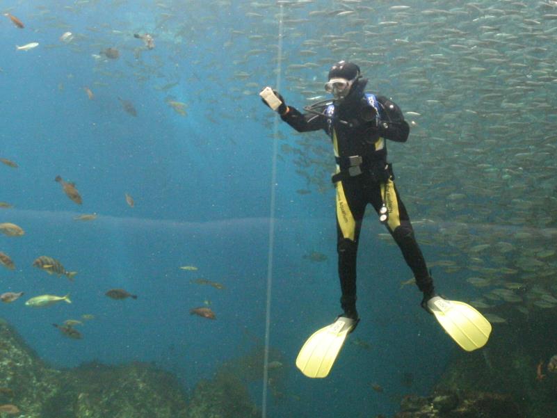 新型潜水服導入 のとじま水族館 新型潜水服導入 のとじま水族館