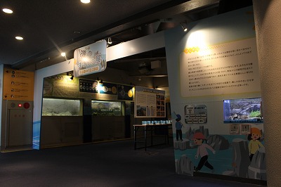 磯の生きもの展　正面