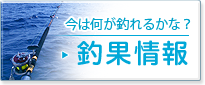 今は何が釣れるかな？『釣果情報』