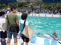 親子で体験 のとじま水族館