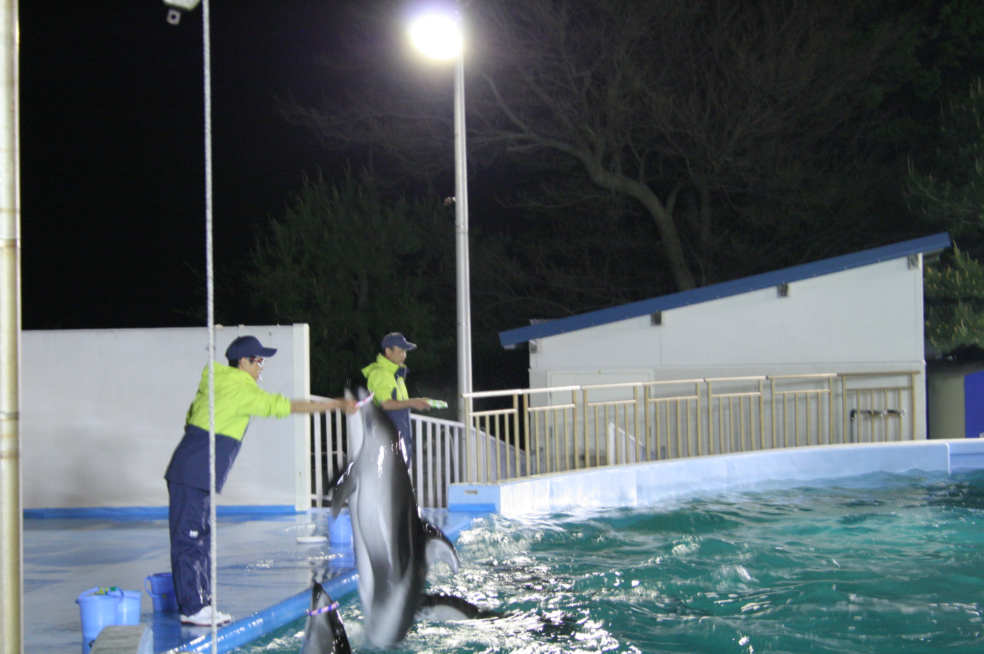 夜の水族館