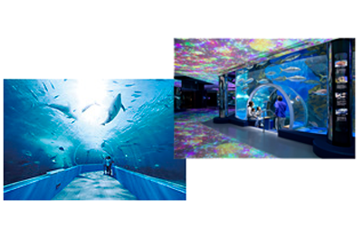 写真・動画で水族館オリジナルグッズ 写真・動画で水族館オリジナルグッズ