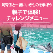 親子で体験！チャレンジメニュー