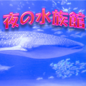 夜の水族館