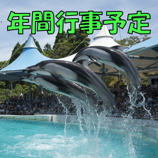 年年間行事予定